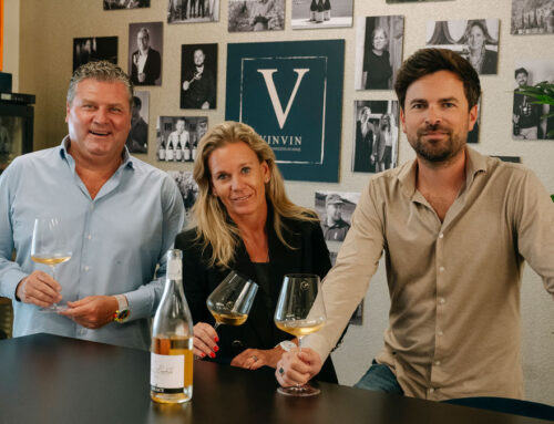 VINVIN Wines